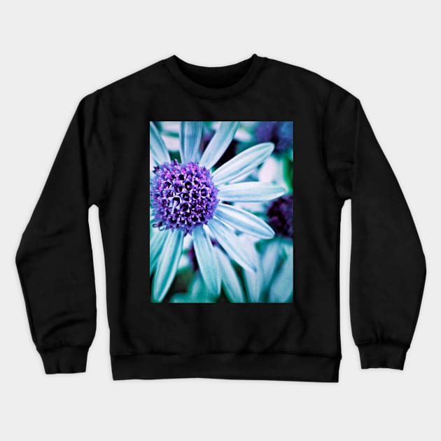 Floral Symphony in Purple Crewneck Sweatshirt by InspiraImage